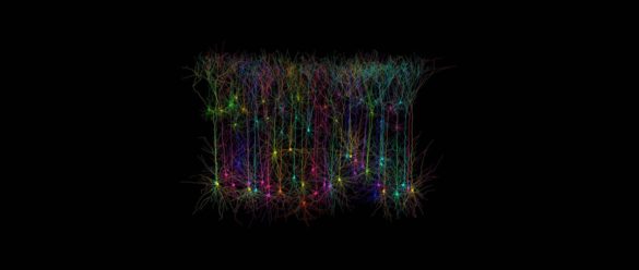 Brainbow