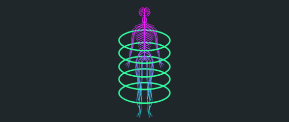 Psiconeuroinmunoendocrinología