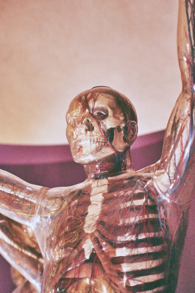 psiconeuroinmunoendocrinología, (PNIE)