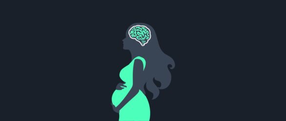 Portada - cambios cerebrales en el embarazo- NeuroClass