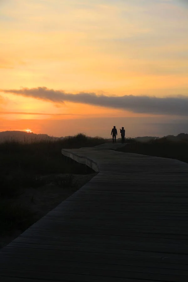 salud mental comunitaria
