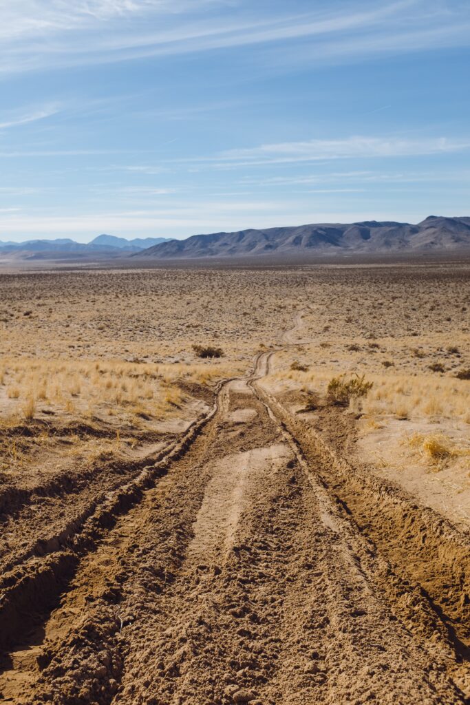 Apoyo entre pares: enfoque participativo en salud mental.