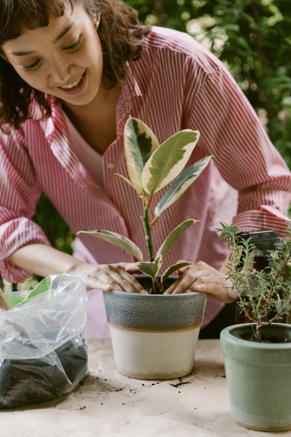 La jardinería terapéutica ha demostrado ser una herramienta valiosa para mejorar la salud mental y el bienestar. 