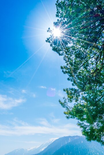 Los resultados del estudio mostraron que la terapia de luz fue efectiva en reducir los síntomas depresivos en la depresión no estacional.