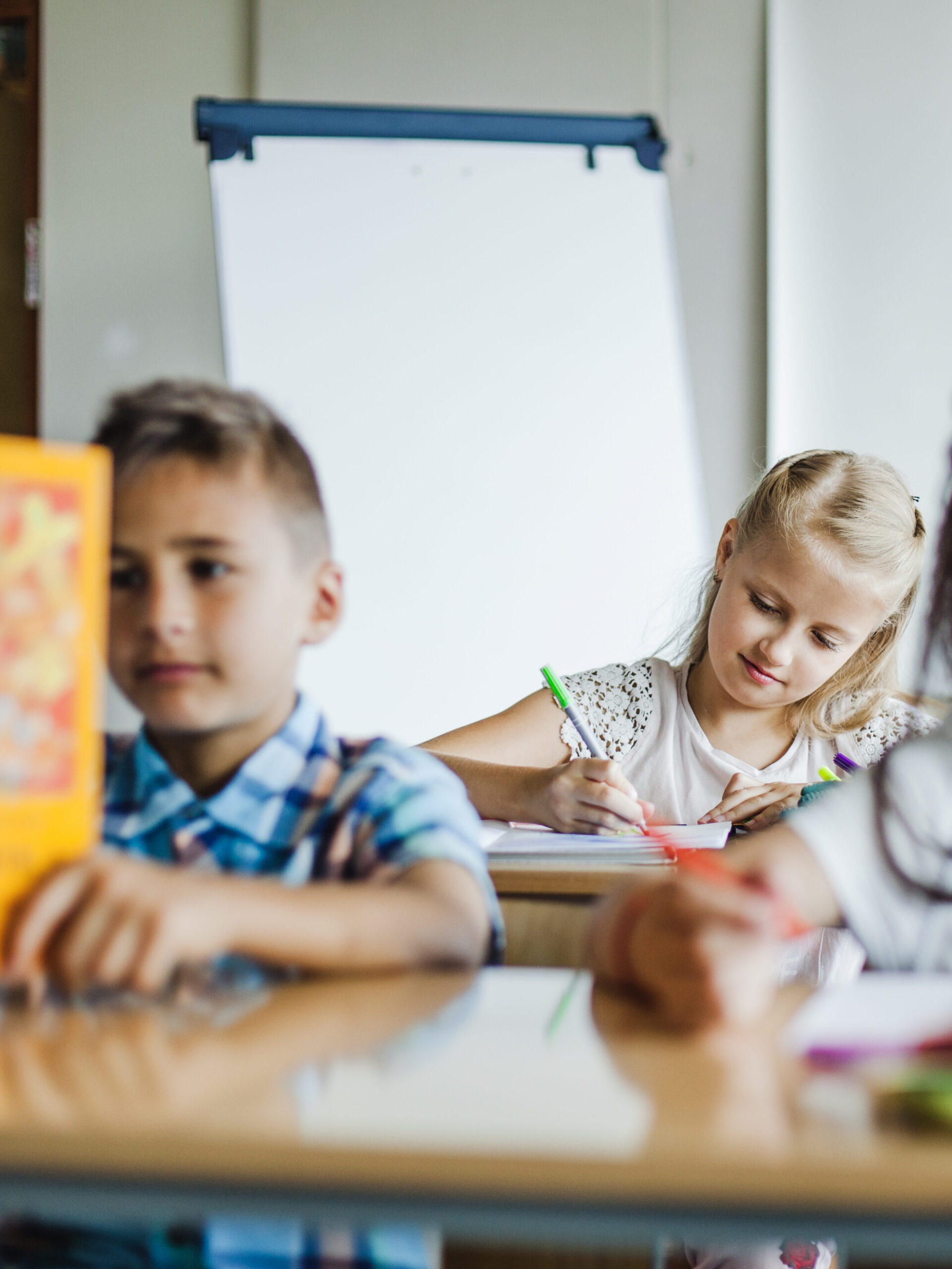 Procesamiento sensorial y las funciones ejecutivas