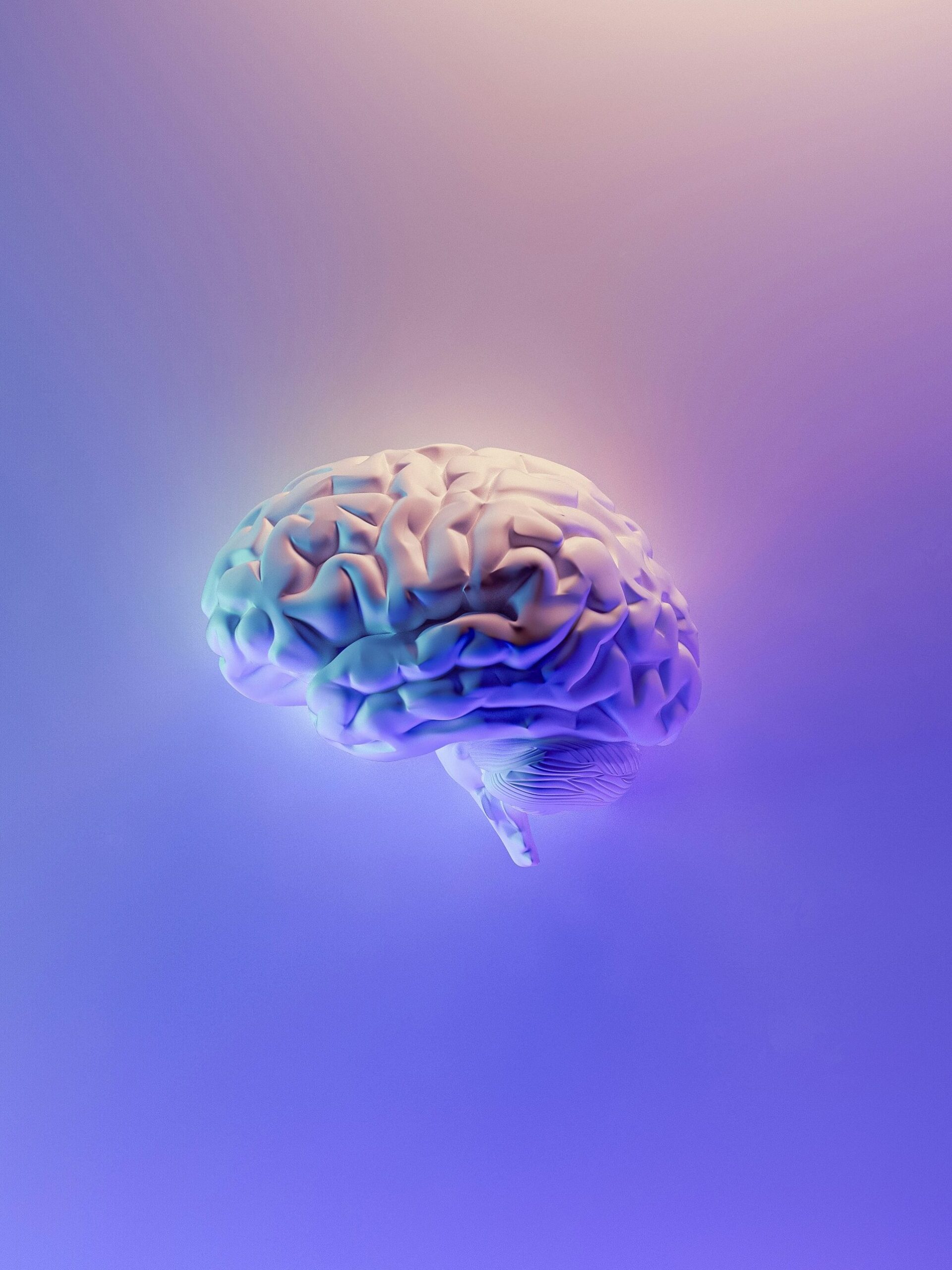 distancia lingüística aprendizaje de idiomas