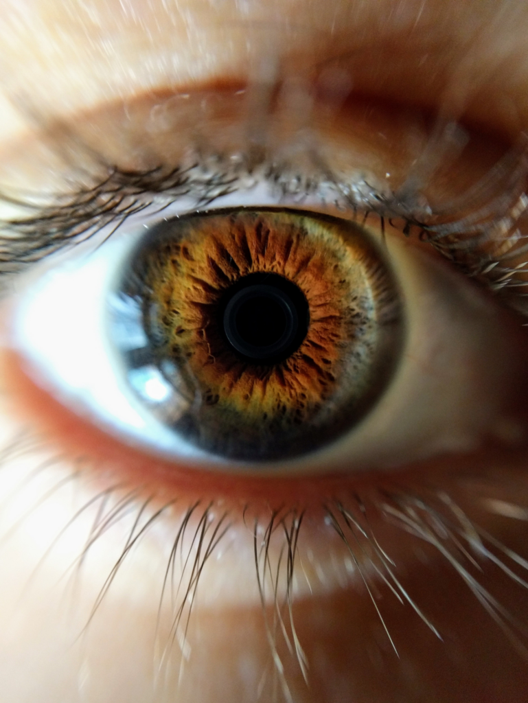 Ilusiones visuales, tipos de ilusiones.