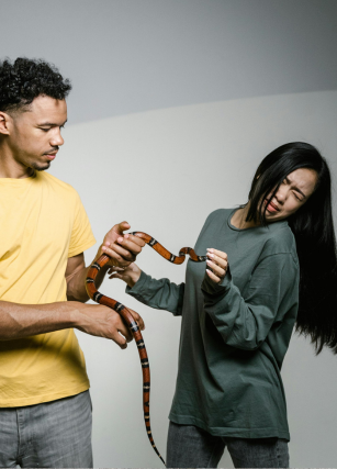 fobia a los animales