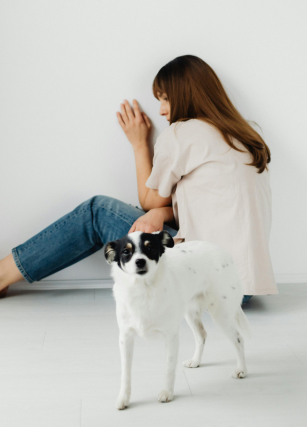 Terapias para la fobia a los animales