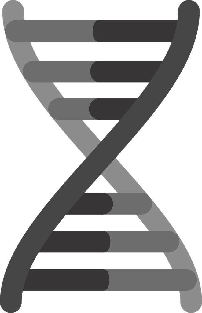 condición genética, síndrome X frágil