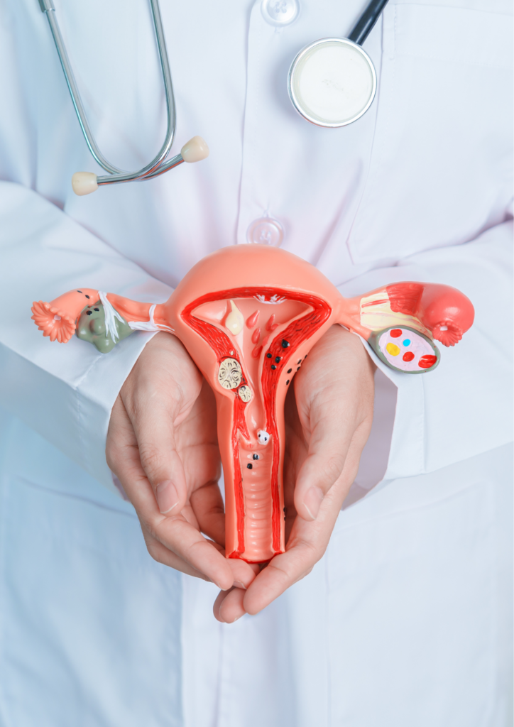 Sexo femenino y neurociencia. Hormonas y cerebro.