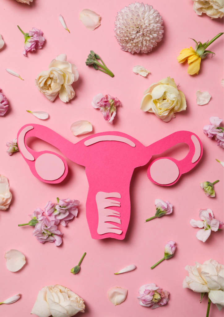 Sexo femenino y neurociencia. Hormonas y cerebro.