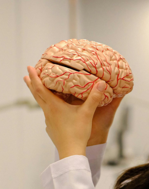 Procesos de la memoria