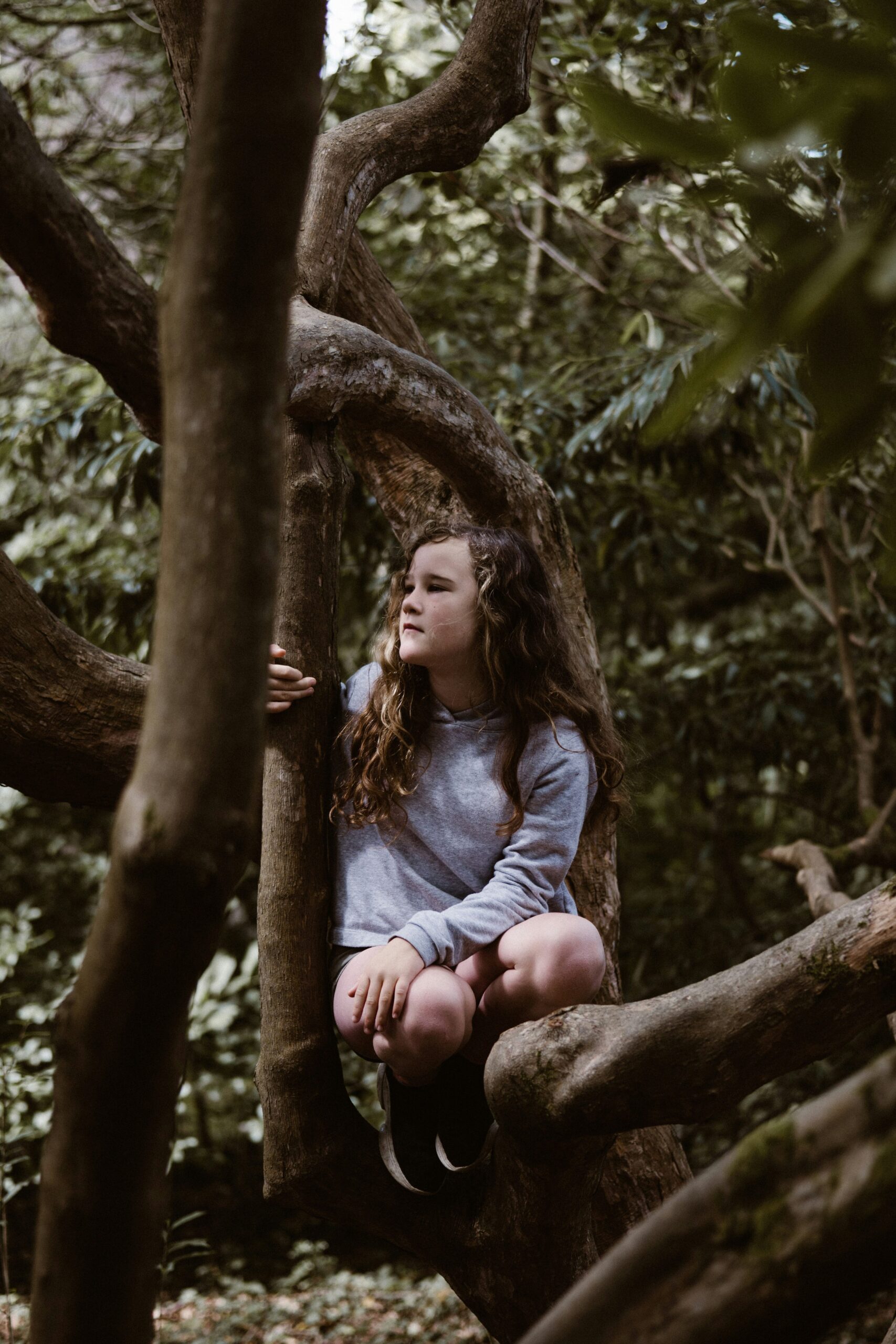 TCC, TOC infantil, Terapia combinada.