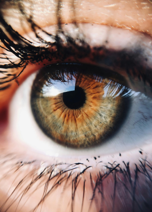 negligencia espacial unilateral