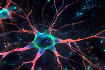 Que son los astrocitos