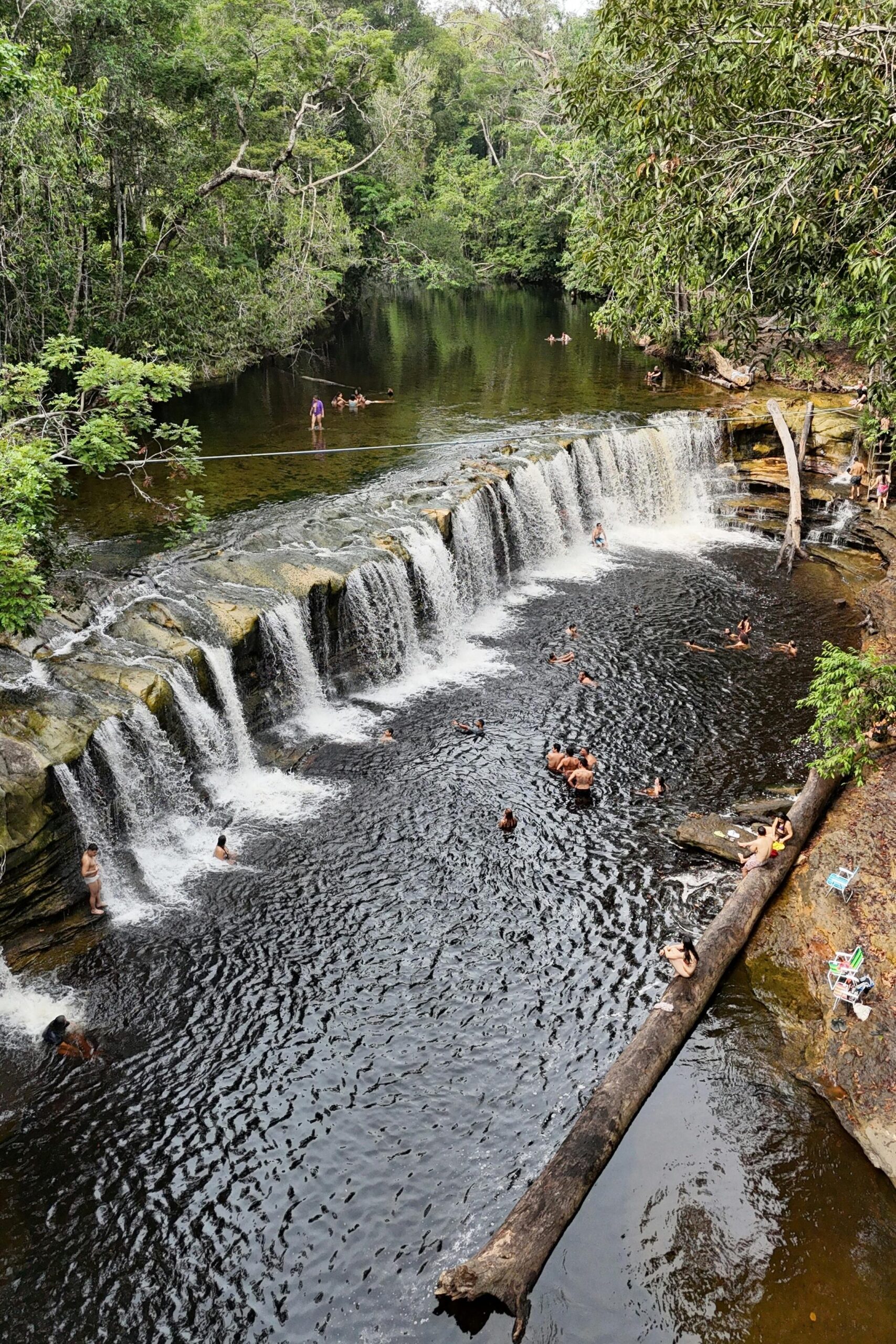 Ayahuasca y psicoterapia