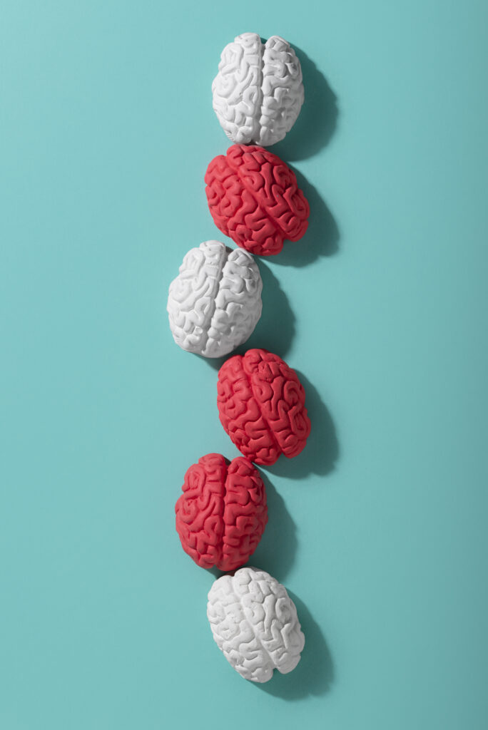 binge drinking y cerebro